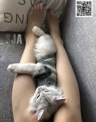 日韩精品刚刚更新小黄视频_高清完整视频